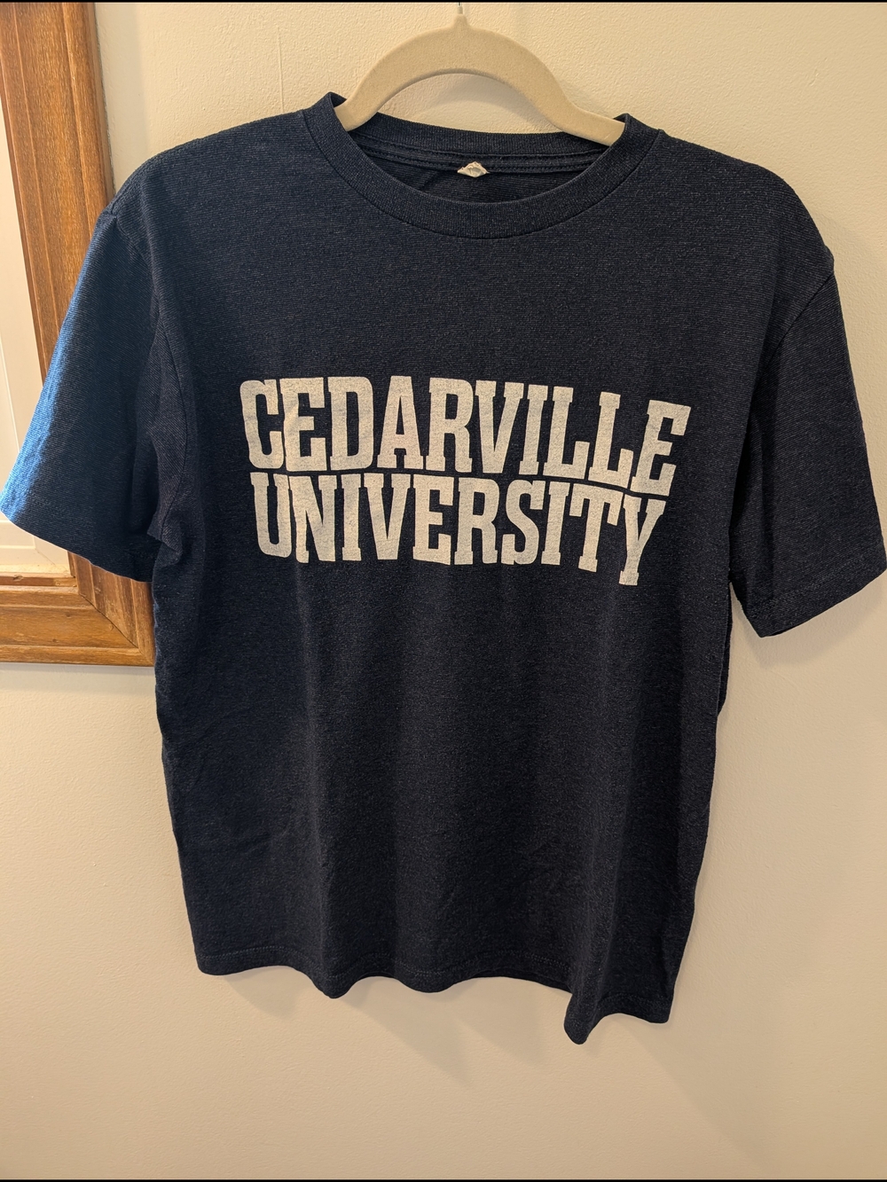 Cedarville University Navy Graphic Tee